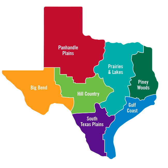 texas map